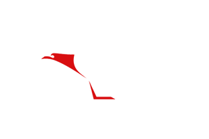 ADLER ARMS