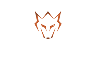ASENA SİLAH SANAYİ TİC.LTD.ŞTİ.
