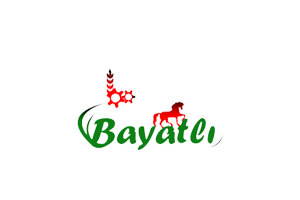 BAYATLI OTOMOTİV