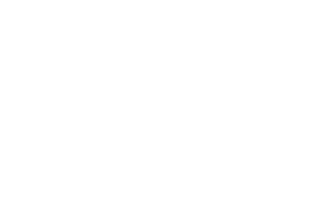 BEYDORA ARMS