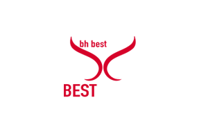 BH BEST ARMS