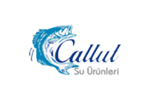 CALLUT TARIM TURZ.VE SU ÜRNL.İTH.İHR.SAN.TİC.LTD.ŞTİ