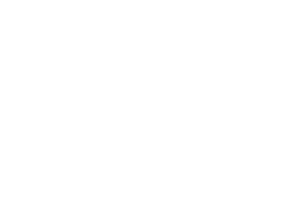 ETERNAL ARMS SİLAH SAN.İÇ VE DIŞ TİC.LTD.ŞTİ.