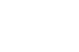 FERMAN ARMS - HUNTİNG ARMS COMPANY
