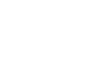HAZAR ARMS