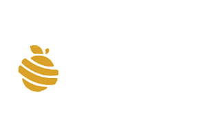 KALKAN SEBZE MEYVE HAY.NAK.TUR.İNŞ.SAN. LTD.ŞTİ