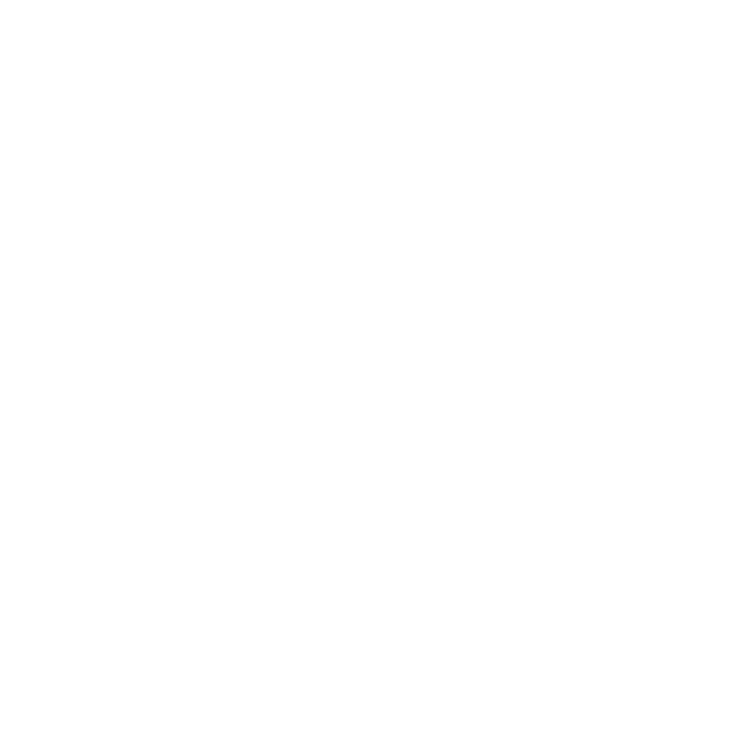 MIZRAK ARMS