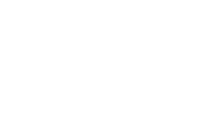 POWER ARMS