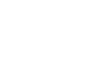 TORUN SİLAH SANAYİ